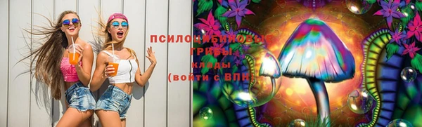 молекула духа Зерноград
