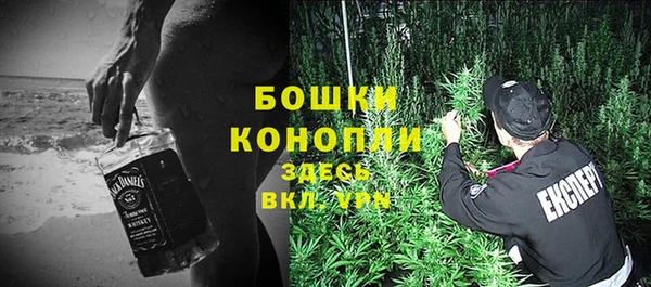 молекула духа Зерноград