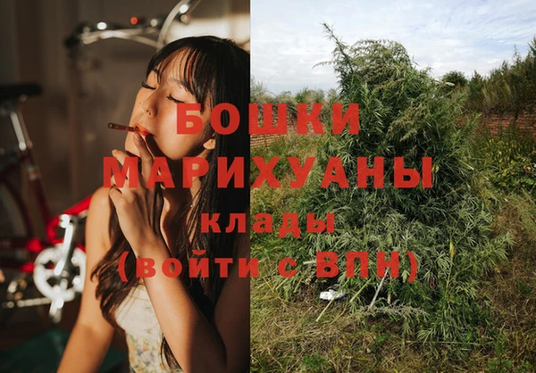 хмурый Зеленокумск