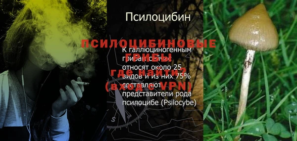хмурый Зеленокумск