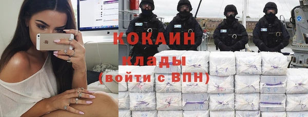молекула духа Зерноград