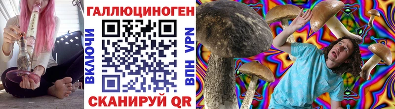 Купить где  Сосногорск  Галлюциногенные грибы GOLDEN TEACHER 